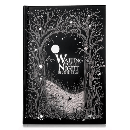 🔥LAST DAY SALE 48% OFF📓Waiting for the Night Reading Journal